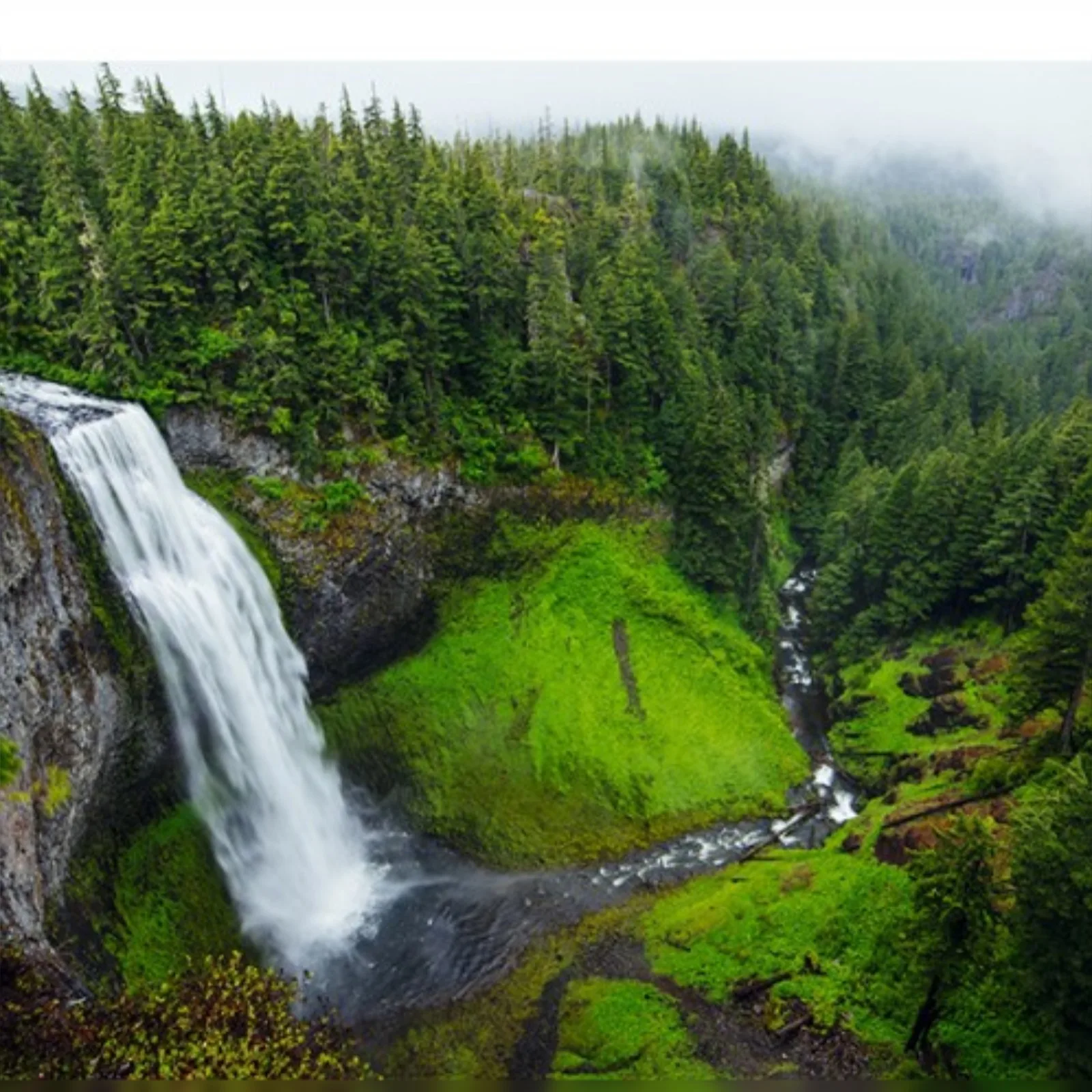 World Environment Day 2025: Cleantek's Commitment to a Cleaner Planet